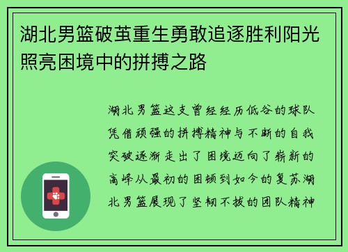 湖北男篮破茧重生勇敢追逐胜利阳光照亮困境中的拼搏之路