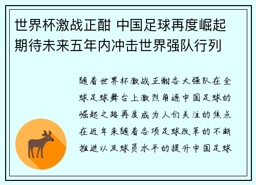 世界杯激战正酣 中国足球再度崛起 期待未来五年内冲击世界强队行列
